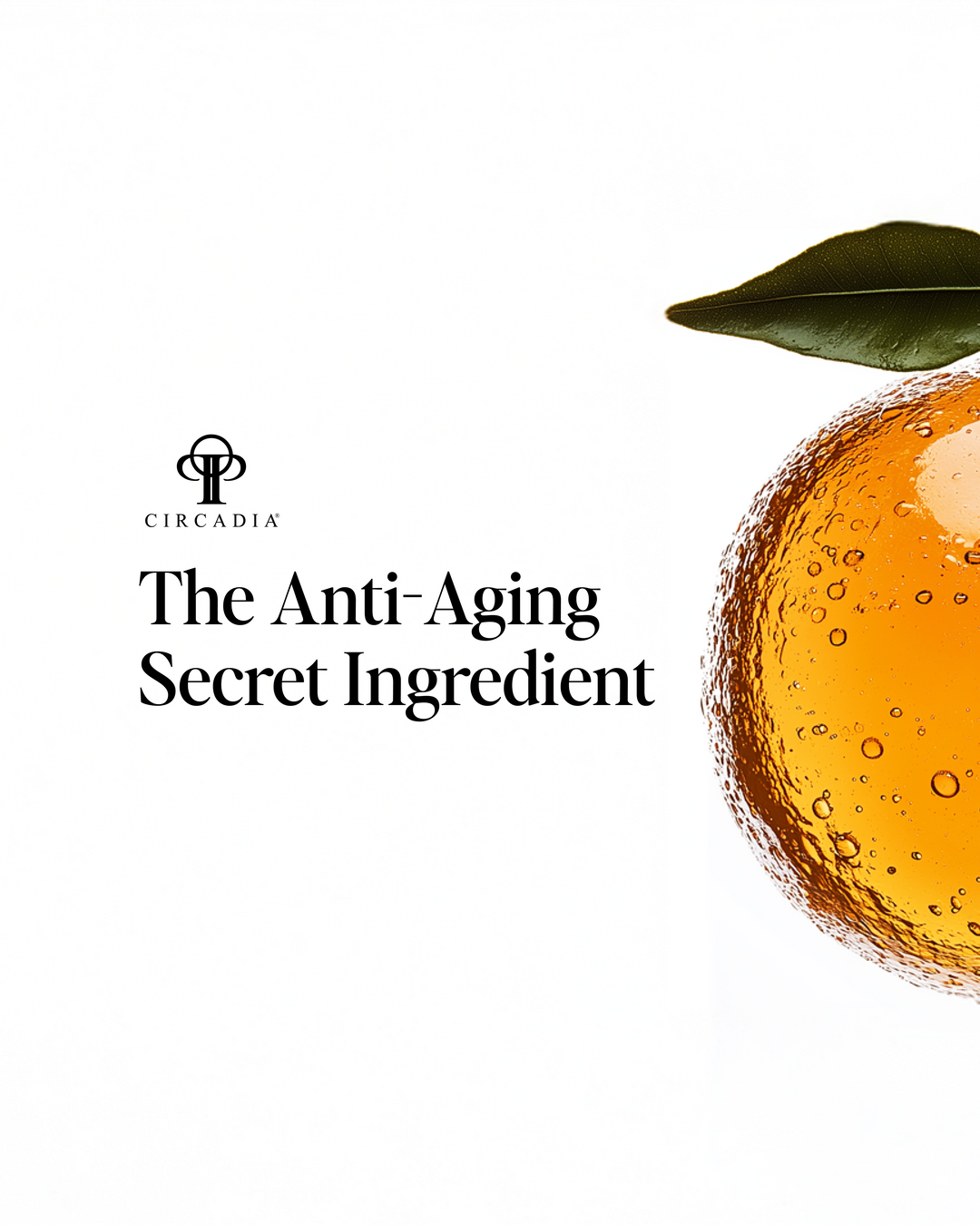 Vitamin C Reversal Serum